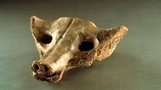 APAH Prehistory Review