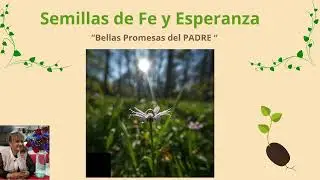 BELLAS PROMESAS DEL PADRE