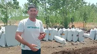 100 тоннали заказни таёрдаяпмиз .993161473 Алижон.