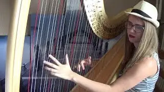 Pirates Of The Caribbean - He's A Pirate (Harp Cover)