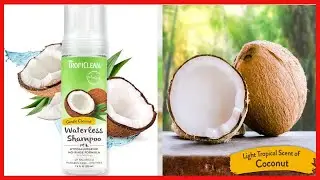 TropiClean Hypoallergenic Waterless Shampoo for Dogs, 7.4 Fl Oz (Pack of 1) - Made in USA,