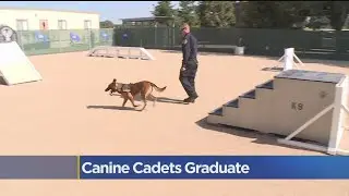 CHP K9 Graduation Ceremony