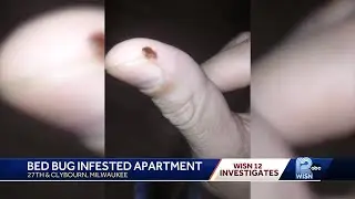 Bedbug battle could lead to homelessness