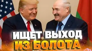 Лукашенко предлагает США &ldquo;большую сделку&rdquo;: как диктатор ищет спасение