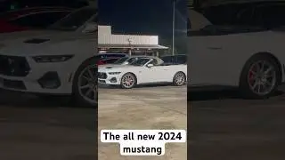 The all new 2024 mustang #mustangs #mustangs550 #mustangsfamily #mustangsaddiction #mustanggt