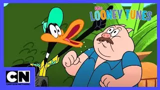 Die Neue Looney Tunes Show | Porky und Daffy | Cartoon Network