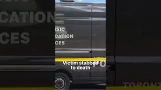 Eight Girls Toronto Stabbing #shorts