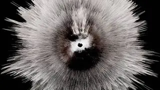 Mogano: Anthropocene (Official Music Video)