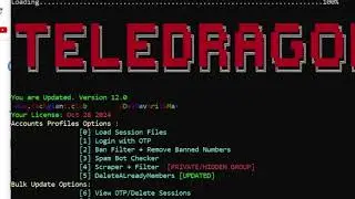 How to increase telegram members with Teledragon 2024