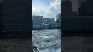 My everyday work commute looks something like this!
