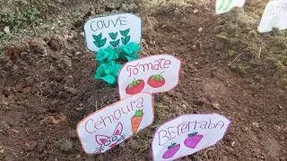 Fazendo uma Horta no quintal | Plantando verduras e legumes 🍅🥕
