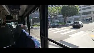 LA CHARTER BUS LINES #3895.  Gillig BRT CNG 