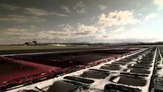 Peugeot Sport - RCZ Peugeot Sport - Reveal
