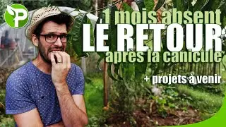CANICULE au potager - Le bilan + projets de cet hiver
