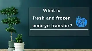 FAQ IN IVF || What is Fresh and Frozen Embryo Transfer ||