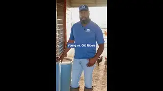 The Difference Between Young and Old Riders | Steady Horse