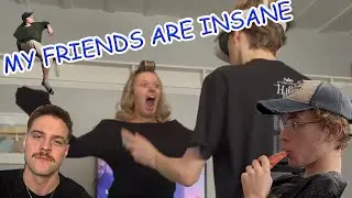 My Friend Group is Insane (and so am I)