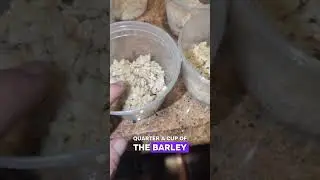 what we feed our diabetic dog #brindlebeagle