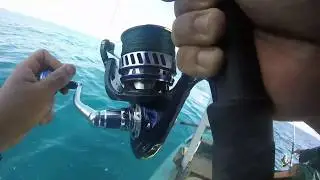 Doblete de barracuda a currican con equipos de jigging (Camag&uuml;ey-Cuba)