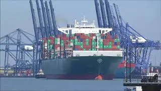 Ultra large Thalassa Doxa breaks away from Felixstowe Berth 7 with two 3212 Svitzer tugs  260618