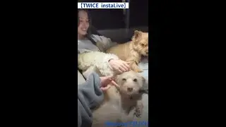 【MOMO SANA LIVE】Instagram Live 250215