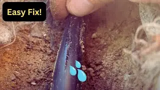 Drip Irrigation System Leak Repair