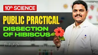 10th Science | Public Practical Dissection of Hibiscus |TN State Board | Prakash Sir