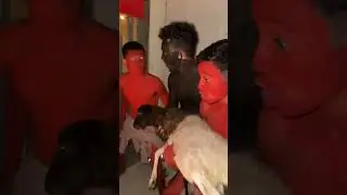 A CASA DOS UGA UGA #shorts