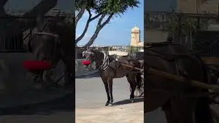 Valletta, Malta, 17 March 2023