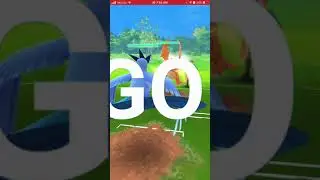 Niantic support