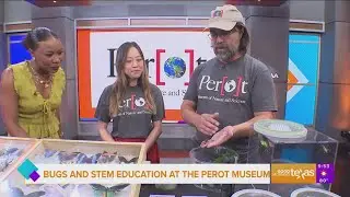 Bugs and STEM Education at the Perot Museum