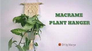Make Your Own Macrame Plant Hanger | No Experience Needed! 🌿| Macrya DIY Tutorial