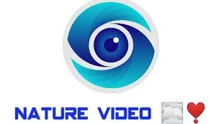 Nature Video🌫️❣️| Fog🌫️| Happy Nature🌿❣️| Relaxation music| Be cool #LazyBrainwork