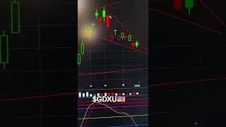 $GDXU 🇺🇸