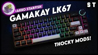 GamaKay LK67 Build - Akko Starfish, WoB ASA Keycaps, Metal Knob, Foam, Holee Mod | Samuel Tan