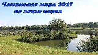 Чемпионат Мира 2017. День второй.  Carpfishing World Championship