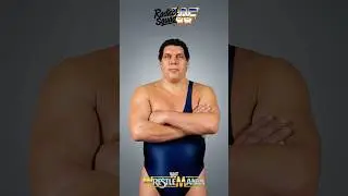 WWF WrestleMania Tribute 02. Most Iconic Superstars - 1980s - 2000s