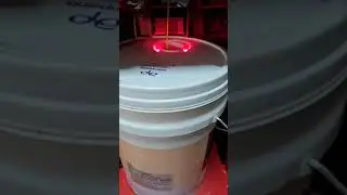AP Apcolite all protek Colour Name Candle light Colour Code 7900