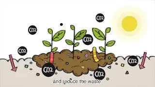 Ecological Agriculture of Circular Economy