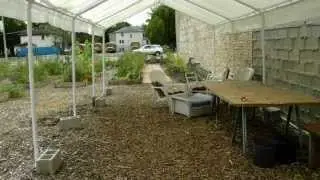 2010-Community-Garden-Oak-Park-Illinois-Madison-Euclid-OakParkJournal.com.MOV