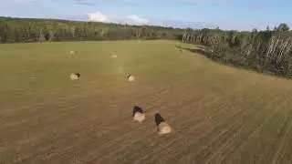 FPV Drone evening flight