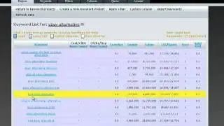 Long Tail Keyword Research Tool Reveals Market Opportunitie