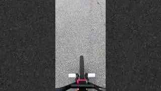 Pro walk #bmxflatland