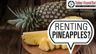 That Time When the Elite of the Western World Rented Pineapples by the Hour