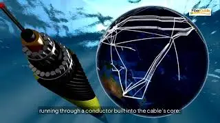 Beneath the Waves: How Undersea Fiber Optic Cables Keep the World Connected.