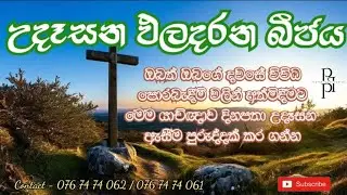 2026/02/05උදෑසන ඵල දරන බීජය දවසේ ඇතිවන ඔබගේ පීඩාවන් වලට තිතක් තැබීම පිණිස මෙම යාච්ඤාව  දිනපතා අසන්න.