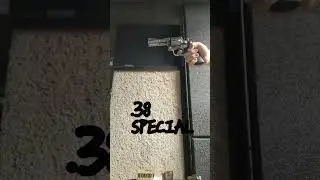 .38 Special vs. .357 Magnum #rangeday #shootingrange