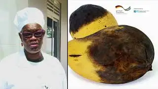 Assuring Quality during Mango Juice Production (1/3) &ndash; Inspection, Washing and Sorting
