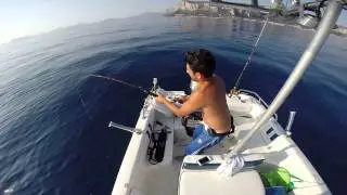 Pesca a Traina col vivo light 