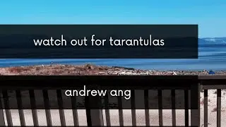 Andrew Ang - Watch Out for Tarantulas